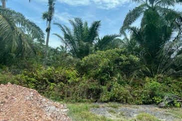 Land 78 acres Housing zone ready Banting