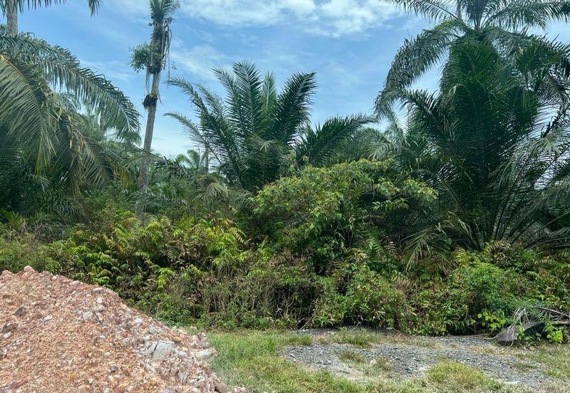 Land 78 acres Housing zone ready Banting