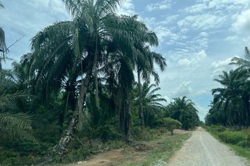 Land 78 acres Housing zone ready Banting