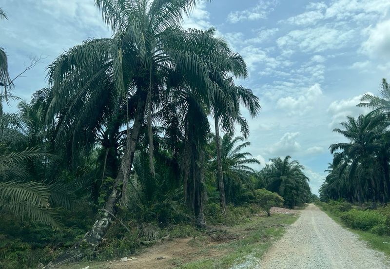 Land 78 acres Housing zone ready Banting