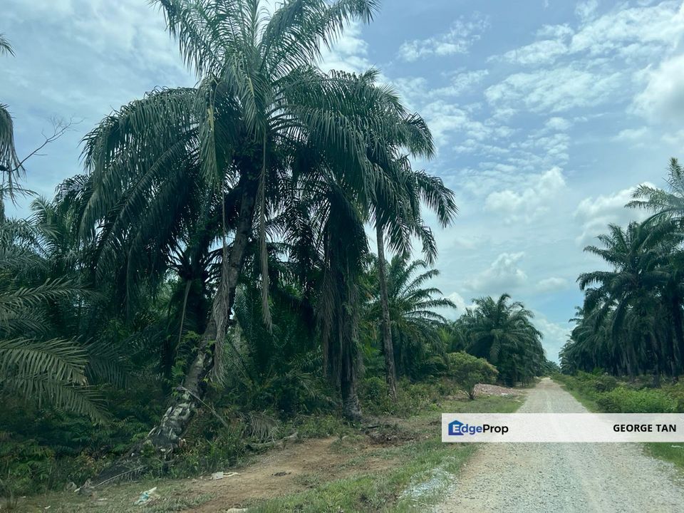 Land 78 acres Housing zone ready Banting, Selangor, Banting