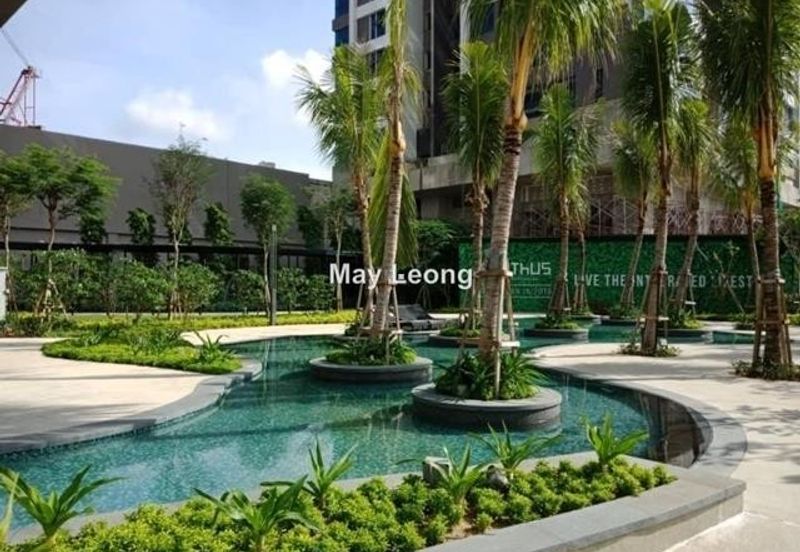 Cyperus @ Tropicana Gardens