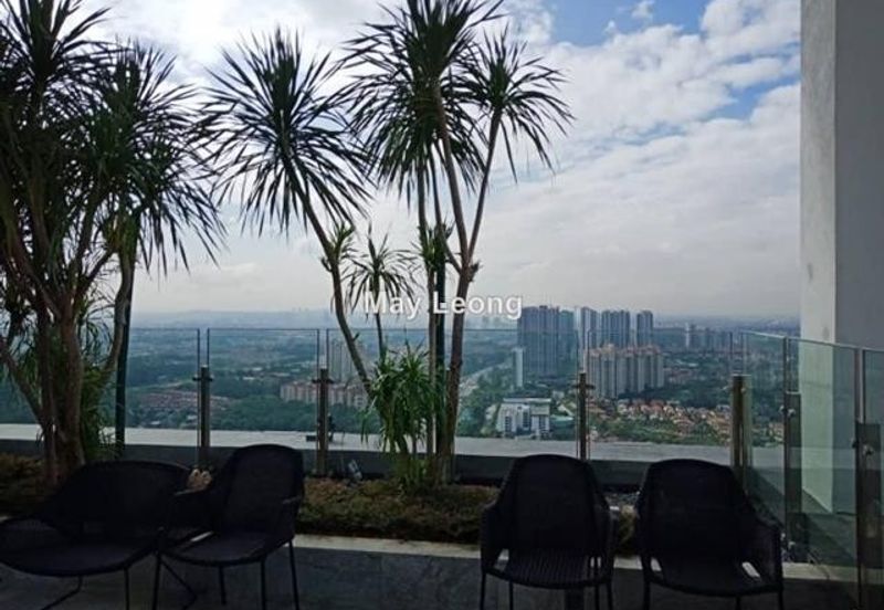 Cyperus @ Tropicana Gardens