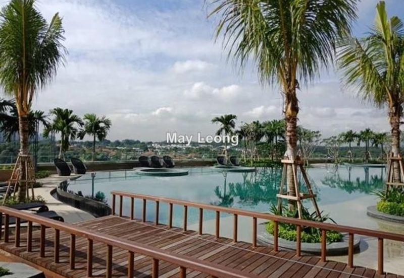 Cyperus @ Tropicana Gardens