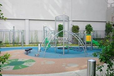 Cyperus @ Tropicana Gardens