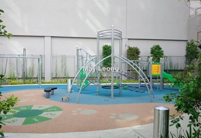 Cyperus @ Tropicana Gardens