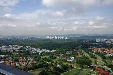 Cyperus @ Tropicana Gardens