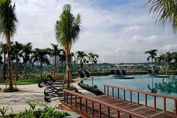 Cyperus @ Tropicana Gardens