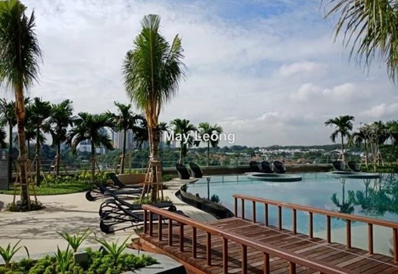 Cyperus @ Tropicana Gardens