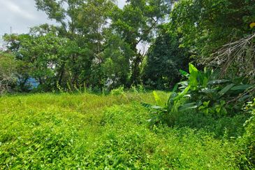 Damansara Heights (Bukit Damansara)