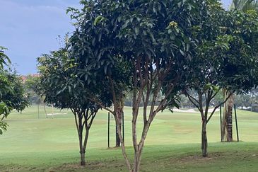 Tropicana Golf & Country Resort