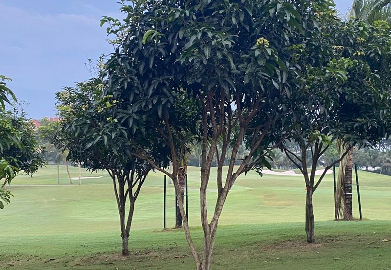 Tropicana Golf & Country Resort