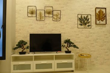 Dianthus @ Tropicana Gardens