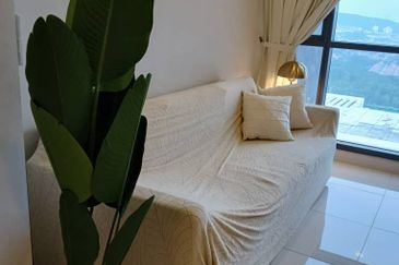 Dianthus @ Tropicana Gardens