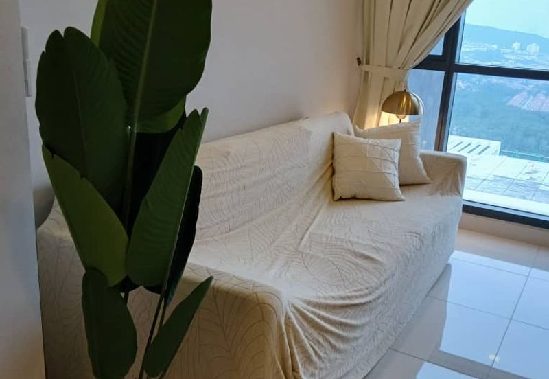 Dianthus @ Tropicana Gardens