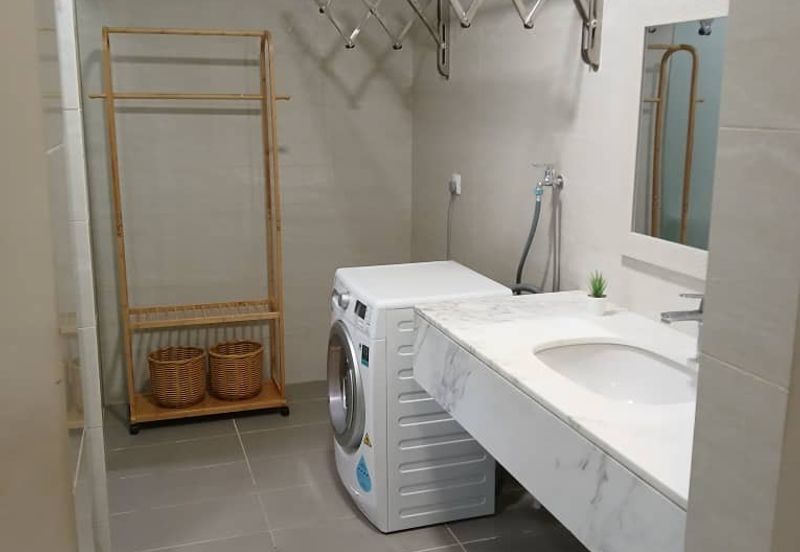 Cyperus @ Tropicana Gardens