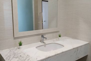 Cyperus @ Tropicana Gardens