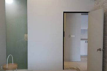 Cyperus @ Tropicana Gardens