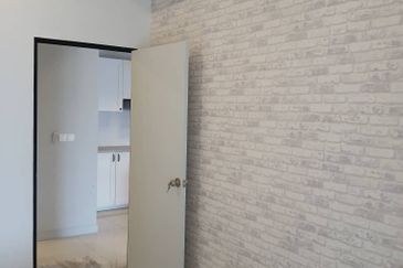 Cyperus @ Tropicana Gardens