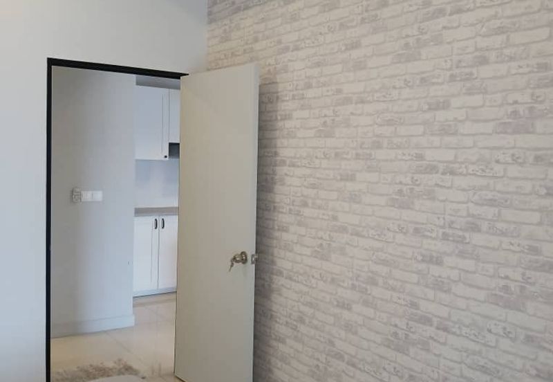 Cyperus @ Tropicana Gardens