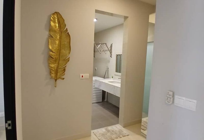 Cyperus @ Tropicana Gardens