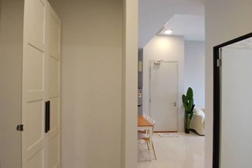 Cyperus @ Tropicana Gardens