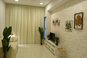 Cyperus @ Tropicana Gardens