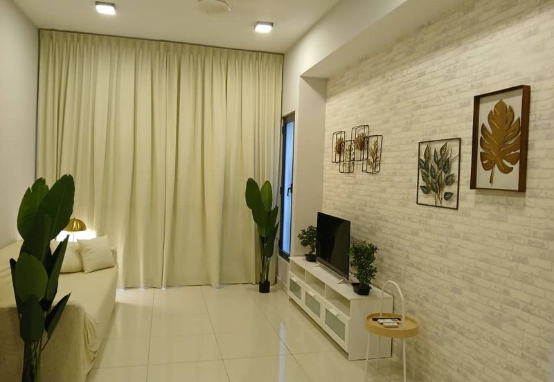 Cyperus @ Tropicana Gardens