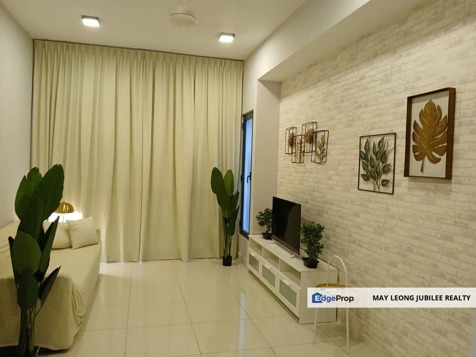 Cyperus @ Tropicana Gardens, Selangor, Petaling Jaya