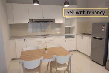 Dianthus @ Tropicana Gardens