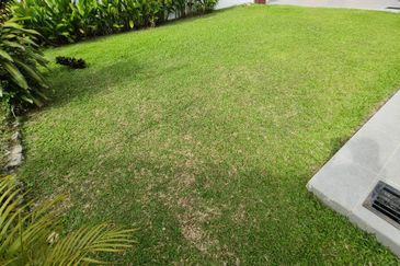 Taman Tun Dr Ismail (TTDI)