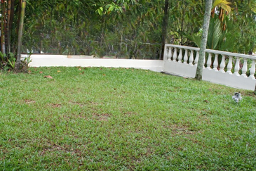 Damansara Heights (Bukit Damansara)