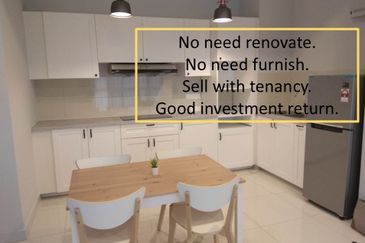 Cyperus @ Tropicana Gardens