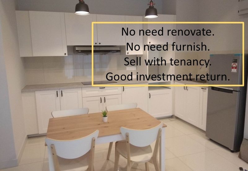 Cyperus @ Tropicana Gardens