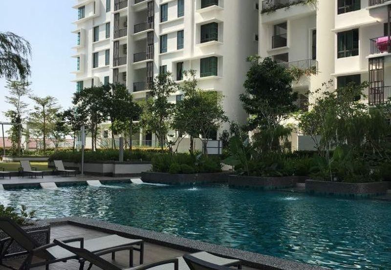 Tree Sparina @ Ideal Vision Park