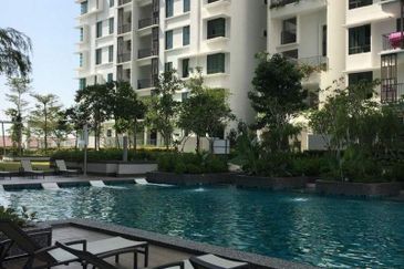 Tree Sparina @ Ideal Vision Park