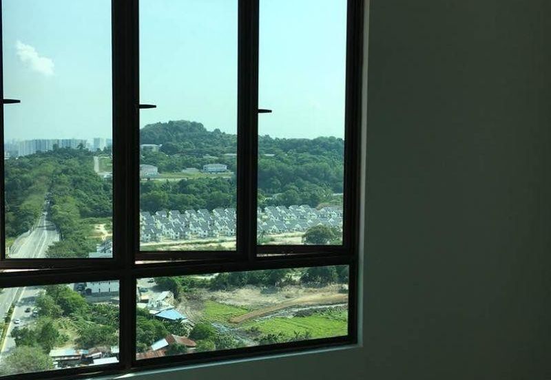 Tree Sparina @ Ideal Vision Park