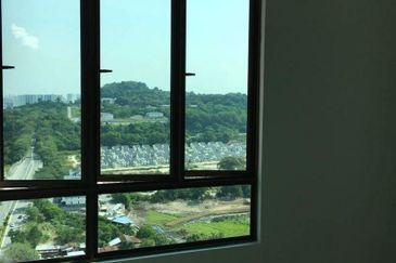 Tree Sparina @ Ideal Vision Park