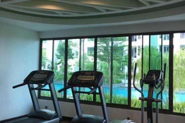 Tree Sparina @ Ideal Vision Park