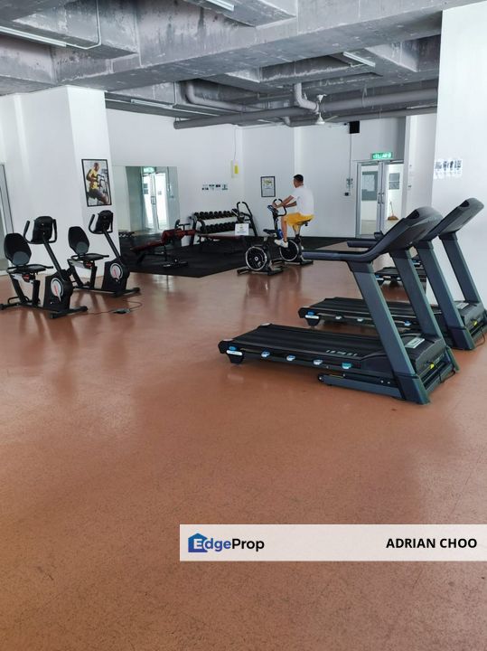 The Stone, Penang, Paya Terubong