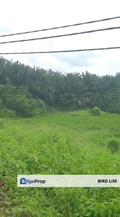 Rawang, bukit beruntung, puncak alam, elmina business park, elmina, serendah, kampung baru sungai buloh, selayang, batu caves, gombak, kepong, kundang, Selangor, Rawang