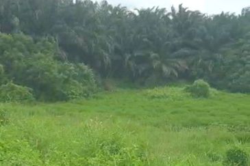 Rawang Perdana, Rawang integrated, puncak alam, elmina business park, elmina east, serendah, kampung baru sungai buloh, selayang, batu caves, gombak,