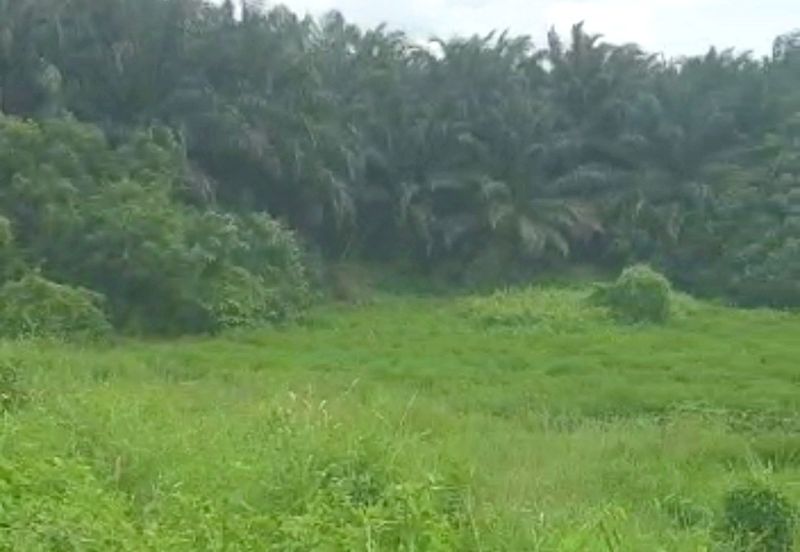 Rawang, bukit beruntung, puncak alam, elmina business park, elmina, serendah, kampung baru sungai buloh, selayang, batu caves, gombak, kepong, kundang