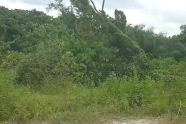 Rawang Perdana, Rawang integrated, puncak alam, elmina business park, elmina east, serendah, kampung baru sungai buloh, selayang, batu caves, gombak,