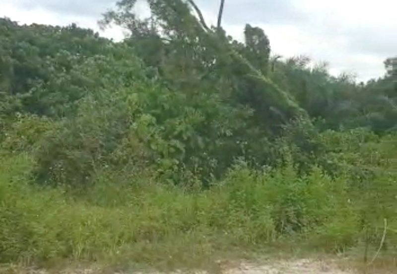 Rawang, bukit beruntung, puncak alam, elmina business park, elmina, serendah, kampung baru sungai buloh, selayang, batu caves, gombak, kepong, kundang