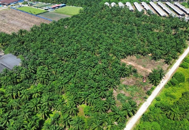 Rawang, bukit beruntung, puncak alam, elmina business park, elmina, serendah, kampung baru sungai buloh, selayang, batu caves, gombak, kepong, kundang