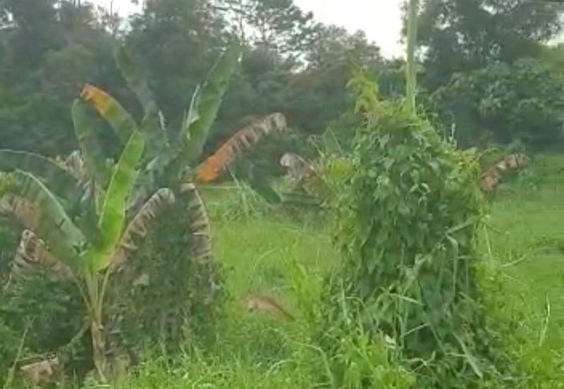 Rawang, bukit beruntung, puncak alam, elmina business park, elmina, serendah, kampung baru sungai buloh, selayang, batu caves, gombak, kepong, kundang