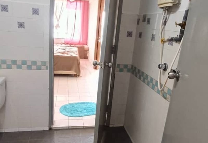 Paradise Lagoon Apartment