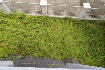 Nusari Aman 3 @ Bandar Sri Sendayan