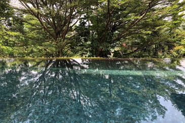 Contemporary bungalow with full glass exterior